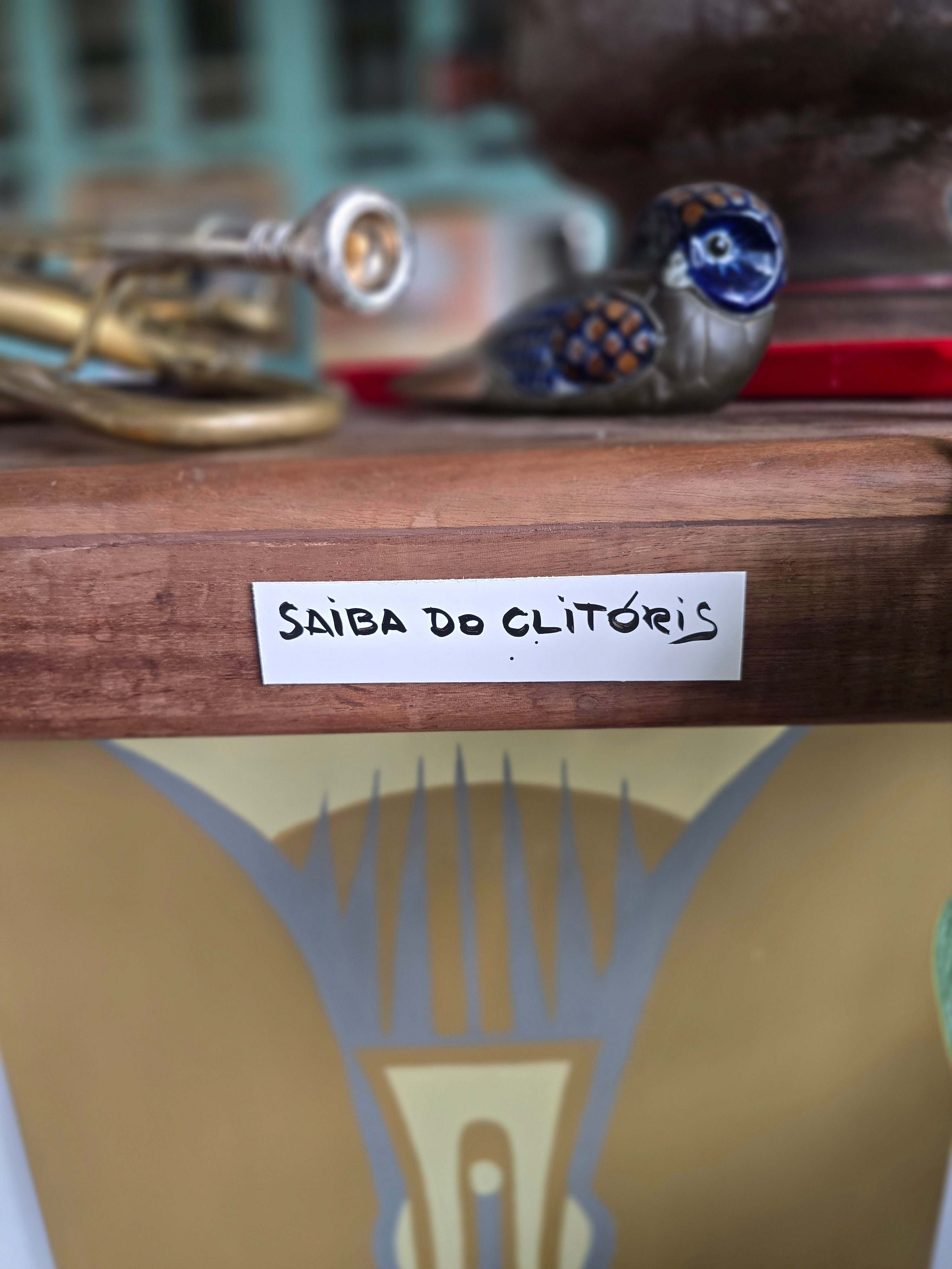 Saiba do clitóris